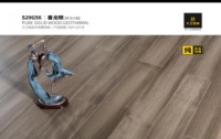 实力测评-大卫东方佳人番龙眼,值得入手的好地板