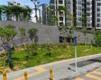 深圳崇文花园敢买不 深圳崇文花园小区详情是什么