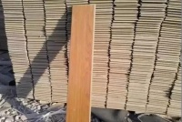 伊莎贝尔丨终于知道为什么有那么便宜的地板了?