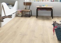 父亲节巧遇618 得高感恩钜惠助你献上好礼