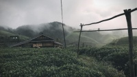 美共创•小山丘舍与美克美家十年共同出发