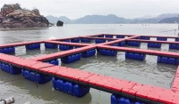无惧风浪!联塑浮桥系统为渔业养殖打造“避风港”