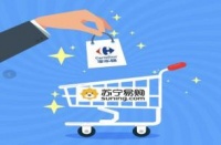 加速家乐福中国数字化升级,张近东想改变的不只是苏宁