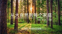 木艺家名贵木材定制臻选,彰显贵族之气