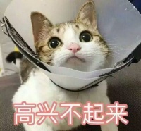 买集成灶只看价格?1000和10000的集成灶能一样么!