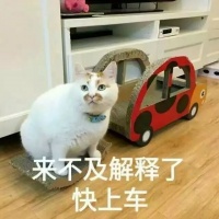 装修速成手册,时间紧任务重,看这一本就够了