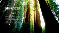 水里来火里去,水火锻造出的安信纽敦豆实木地热地板