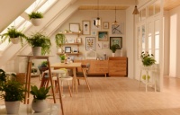 20岁的千年舟，携“净醛”黑科技迈向“0”醛时代