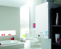 菲斯曼和威能哪个好 菲斯曼和威能的产品对比