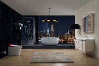 引领时尚  传承经典 尚典卫浴用匠心筑精品