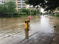 夏季城市内涝频繁出现,海绵城市建设提供新思路