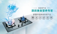 5.0kW大火力爆炒, 海信这款燃气灶让你“灶”就大厨级盛