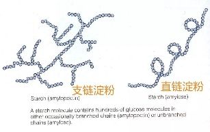 燕郊新浪家居