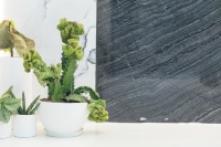这5种花草万不要养在室内,别贪图一时好看,丢了家人的健康
