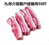 集成灶10大品牌,下单购买蓝炬星,送猪肉10斤