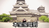 “熊本熊”之父水野学 北京个人作品展 售票开启!