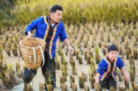 让城市的孩子体验农耕文化也是“改变命运”