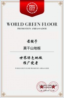 载誉前行,莫干山与世界地板业工商峰会共话绿色未来!