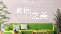 【可罗雅】从“无可奈何”到“主动选择”的素色之美