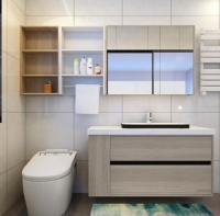 有了玫瑰岛攀登者8848浴室柜,小户型卫生间1㎡当3㎡用
