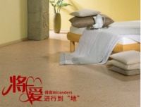 得高Wicanders,将爱进行到“地”