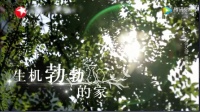 女孩为肿瘤母亲放弃留学,造梦者新风守护空气安全