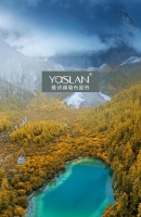 【YASLAN墙布窗帘】自然森系风,零距离感受大自然气息!