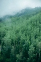 第六季•爱木周 | Let's Go！Party Time！开启全国最燥！