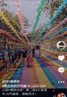 531装修侠推出“金管家”: 你想不到的品质服务