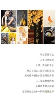 家|名雕佰恩邦全屋装,让理想生活的每一瞬间熠熠生辉