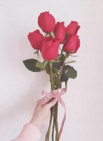【YASLAN】当家居遇上玫瑰,虏获万千少女心!