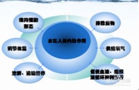 乐米斯特,专业水处理设备服务商