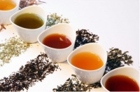坐饮香茶爱此水,甘甜尽在碧云泉台式免安装净水机