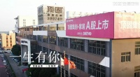 顶固 X《一生有你》MV,看IP营销如何打造记忆点