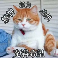好物+100 | 所有女生,稳稳的幸福来咯!