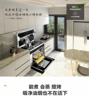 冬季温暖之集成灶十大品牌 火星一号蒸烤一体集成灶