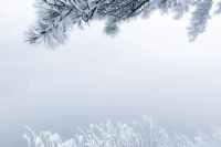 关于冬季舒适感,法国厦贝帮南方人捡回区域自信