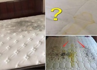 美神床垫教您“三招搞定床垫保养”！床垫发霉一大片，还能睡吗？
