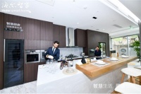 继冰洗第一后的又一张王牌,"海尔系"厨电年销千万台