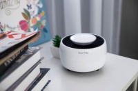 南方的冬天居然惊现蚊子？