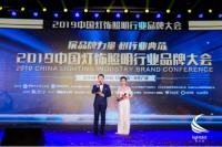 重磅!雅点荣获2019年度亮点奖“十大电工品牌”!