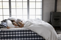 健康睡眠新定义,海丝腾引领新十年健康居家风潮