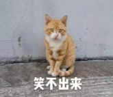改革春风吹满地,新的一年要争气