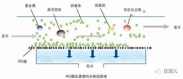 喝了家里的水还会脱发？ 这就是不装净水系统的后果