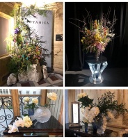 LALIQUE 2020最新春夏系列揭幕