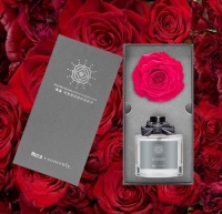 Roca x roseonly，用恒温的爱情演绎云端浪漫