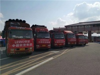 直击抗疫一线| 中国联塑再接力，驰援四川地区“小汤山”医院建设