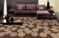 地毯日常清洁妙招 做个轻松家庭主妇