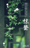 【YASLAN】春雷乍动,万物生长,送你一抹惊蛰绿