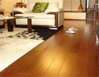 安信地板与大自然比较 地板颜色怎么选